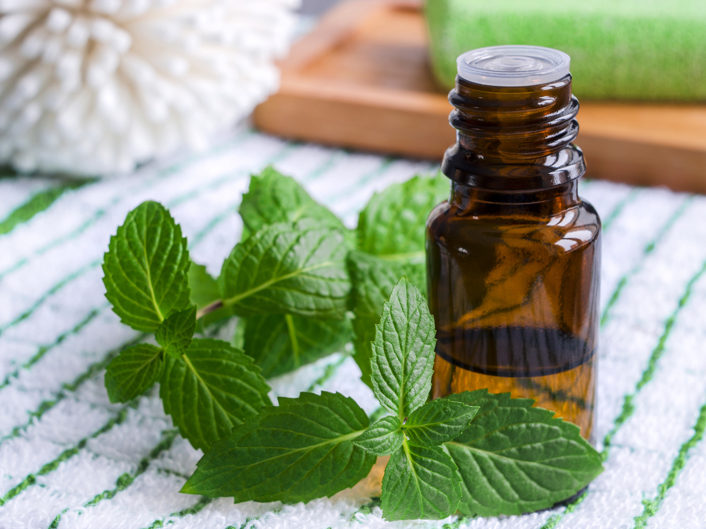 Plant-based therapeutics in irritable bowel syndrome: emerging evidence and clinical potential